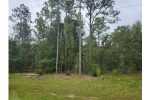 Lot 24 Sw 89th Cir, OCALA