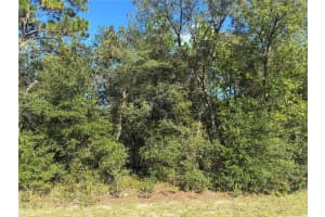 Sw Seaweed Ave, DUNNELLON