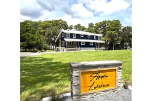 419 N Apopka Ave, INVERNESS