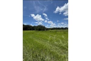 8496 Nw 43rd Ct, OCALA