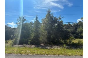 Sw South Wind Ct, DUNNELLON