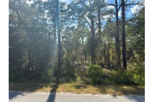Redwing Rd, DUNNELLON