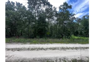 155th Ter Ne, WILLISTON 155th Ter Ne, WILLISTON