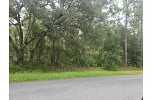 Lot 3 Sw 61 St Place Rd, OCALA