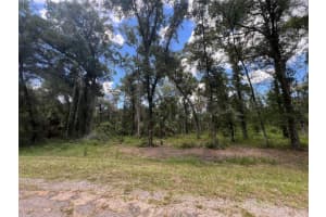 1628 E Derby Dr, DUNNELLON
