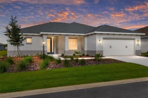 10039 Sw 106th Cir, OCALA