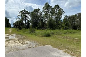 Tbd Se 130th Ct, DUNNELLON