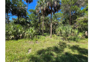 10919 W London Ln, HOMOSASSA