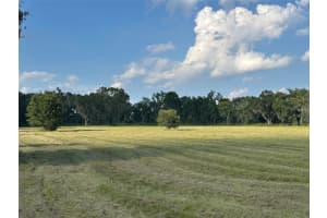 Tbd Nw 100th Ave, OCALA Tbd Nw 100th Ave, OCALA