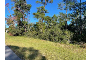 Marion Oaks Lane, OCALA Marion Oaks Lane, OCALA