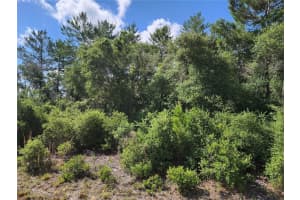 4168 Sw 112th Ln, OCALA 4168 Sw 112th Ln, OCALA