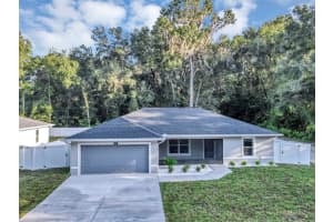 4389 Se 131st Ln, BELLEVIEW