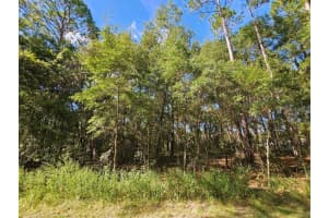 Tbd Sw 21st Pl, OCALA Tbd Sw 21st Pl, OCALA