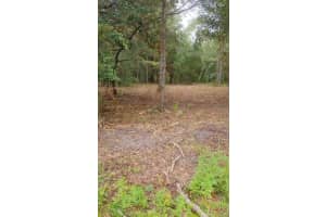 0 Ne 148th Terrace Rd, FORT MC COY
