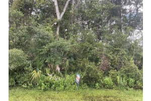 91 Palmwood Dr, PALM COAST