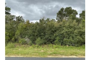 0 Sw 110th St, OCALA 0 Sw 110th St, OCALA
