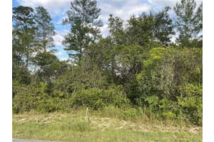 Sw 35th Ave Rd, OCALA Sw 35th Ave Rd, OCALA