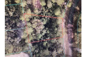 0 Sw 41 Ct, OCALA 0 Sw 41 Ct, OCALA