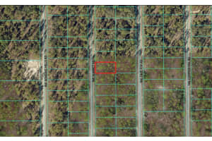 0 Nw Alvarez Rd, DUNNELLON