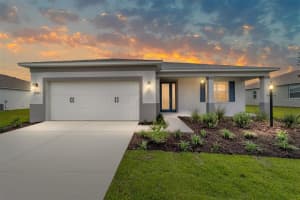 10393 Sw 106th Ct, OCALA