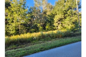 Tbd Williow Road, OCALA