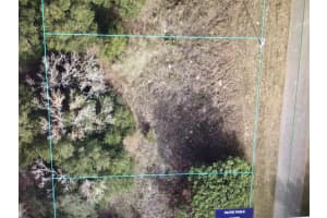 0 Sw 48 Ct, OCALA 0 Sw 48 Ct, OCALA