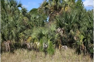 281 Farmington St Sw, PALM BAY 281 Farmington St Sw, PALM BAY