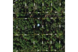 7334 W Contentment Ln, DUNNELLON
