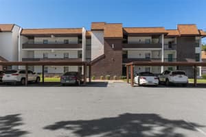 1 Cypress Run #14b, HOMOSASSA 1 Cypress Run #14b, HOMOSASSA