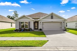 207 Se 66th Ct, OCALA