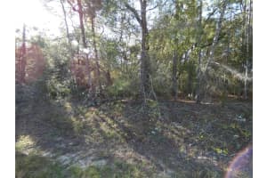 7809 N Jamaica Dr, CITRUS SPRINGS