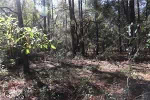 00 Sw 39 St, DUNNELLON