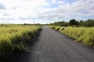 1269 Roland St Sw, PALM BAY