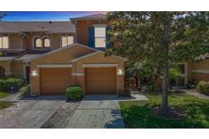 4510 Limerick Dr, TAMPA 4510 Limerick Dr, TAMPA