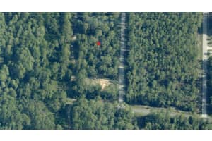 Tbd Sw South Water Ct, DUNNELLON