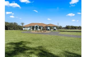 19351 E Levy St, WILLISTON 19351 E Levy St, WILLISTON