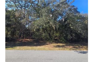 11370 N Ortega Pt, DUNNELLON