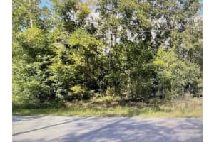 2265 Sw Admiral Landing Dr, DUNNELLON 2265 Sw Admiral Landing Dr, DUNNELLON