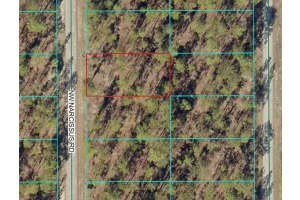 Tbd1 Nw Narcissus Rd, DUNNELLON