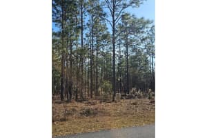 Tbd Se 136th Ter, DUNNELLON