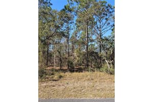 Tbd Se 136th Ter, DUNNELLON Tbd Se 136th Ter, DUNNELLON