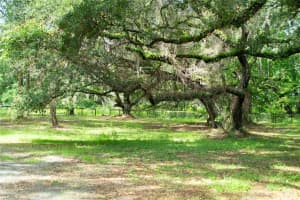 4100 Sw 89th Ave, OCALA