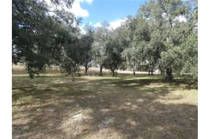 10887 N Circle M Ave, DUNNELLON 10887 N Circle M Ave, DUNNELLON