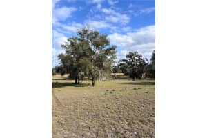 Tbd Nw 127 Ct, OCALA