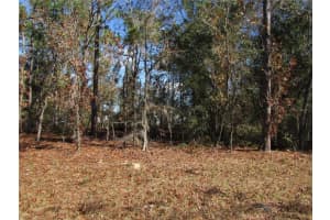 Lot 18 Sw 156 St, OCALA