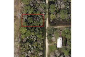 Tbd Sw 134th Ct, OCALA