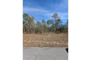 Tbd Sw 87th Avenue, OCALA Tbd Sw 87th Avenue, OCALA