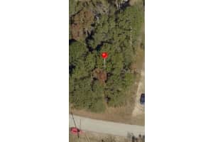 Tbd N Pine Radial Rd N #16, OCALA