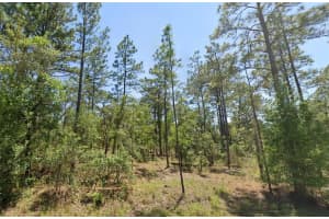 00 Nw Shamrock Ave, DUNNELLON