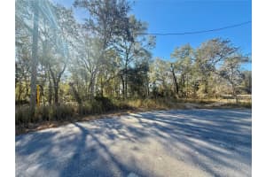 Tbd Lot 35 Locust Pass Ct, OCALA Tbd Lot 35 Locust Pass Ct, OCALA